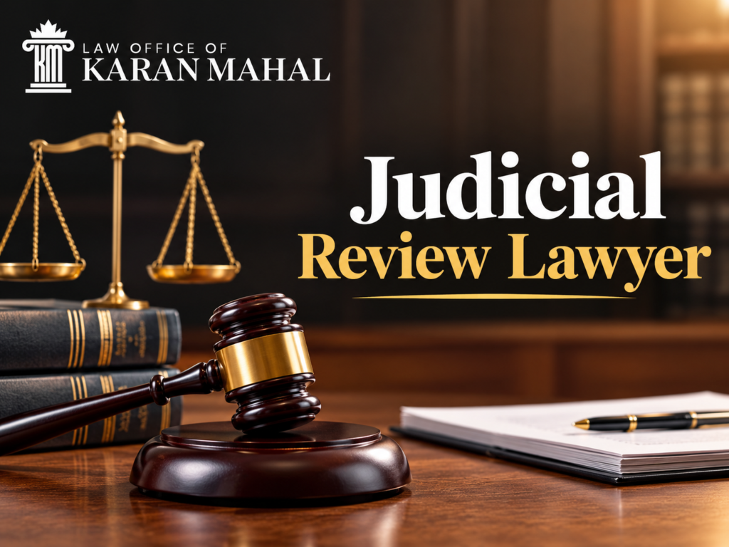 Judicial Review Lawyer